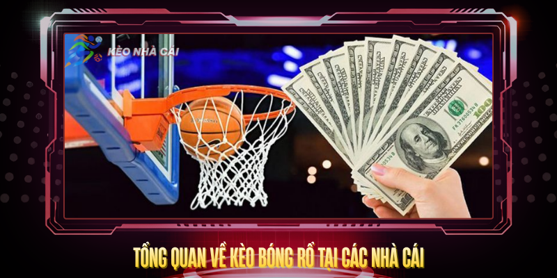 Tong Quan Ve Keo Bong Ro Tai Cac Nha Cai